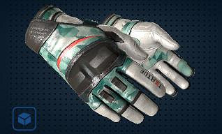 《csgo》手套價格排行介紹