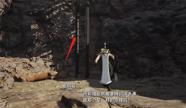 《最終幻想7重生》祈安珠收集攻略