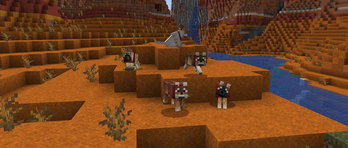 《當個創世神麥塊》即將發布狼群更新：種群與個體更豐富！