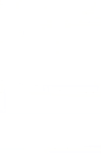 《妮姬》全新SSR角色登場 很大很晃讓人挪不開眼 《妮姬》全新SSR角色登場 很大很晃讓人挪不開眼