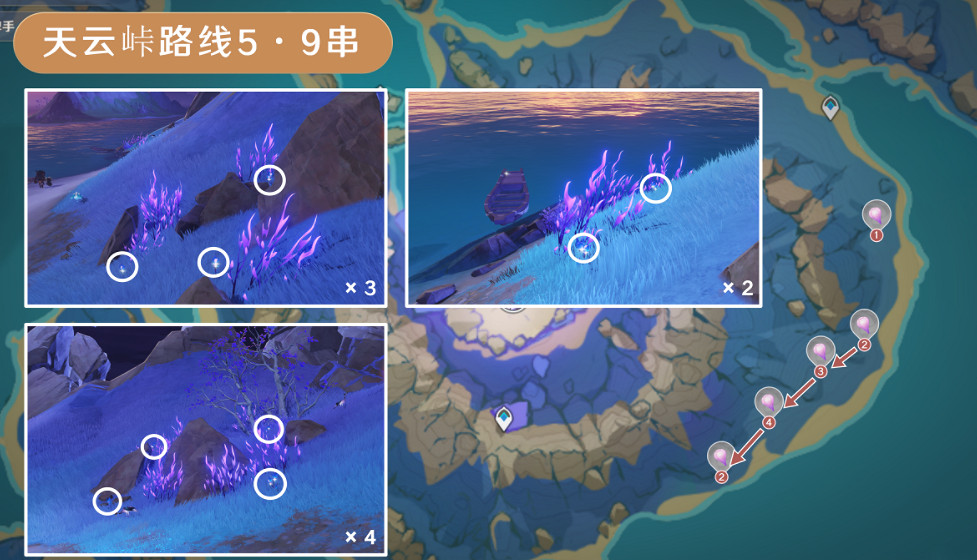 《原神》天雲草實採集路線2024 《原神》天雲草實採集路線2024