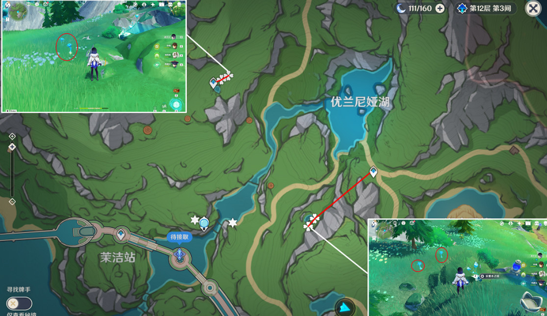 《原神》2024湖光鈴蘭採集路線 《原神》2024湖光鈴蘭採集路線