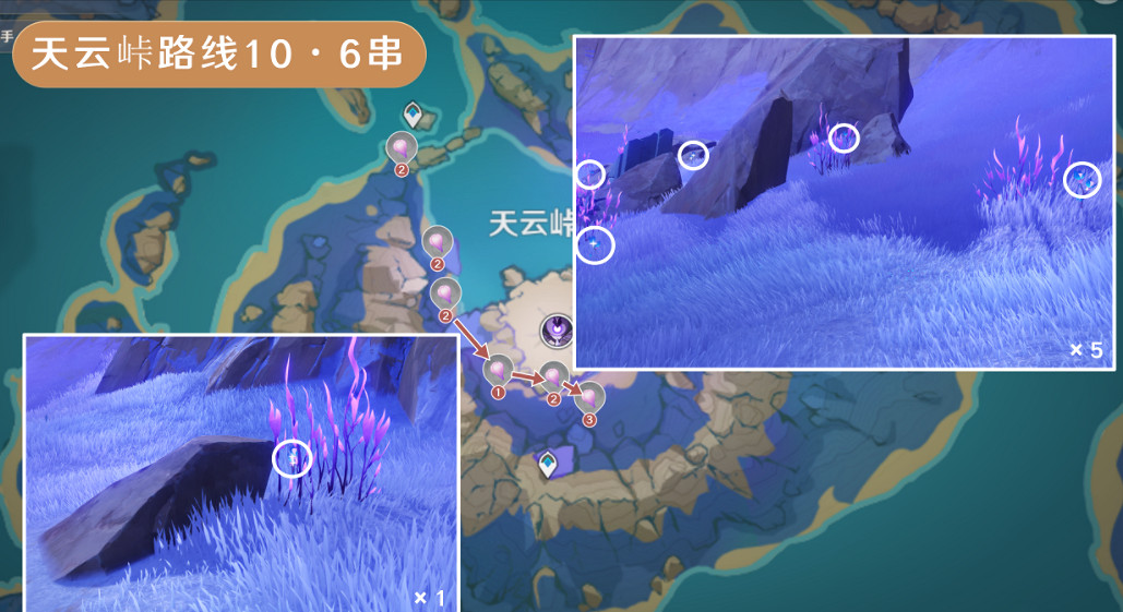 《原神》天雲草實採集路線2024 《原神》天雲草實採集路線2024