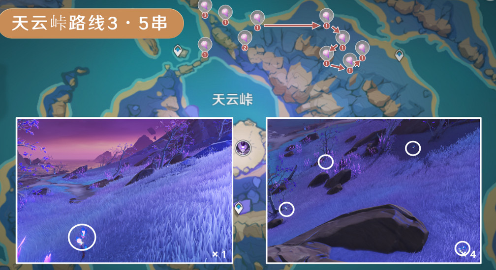 《原神》天雲草實採集路線2024 《原神》天雲草實採集路線2024