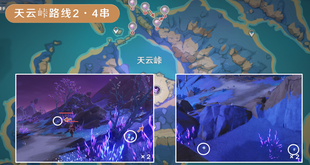 《原神》天雲草實採集路線2024 《原神》天雲草實採集路線2024