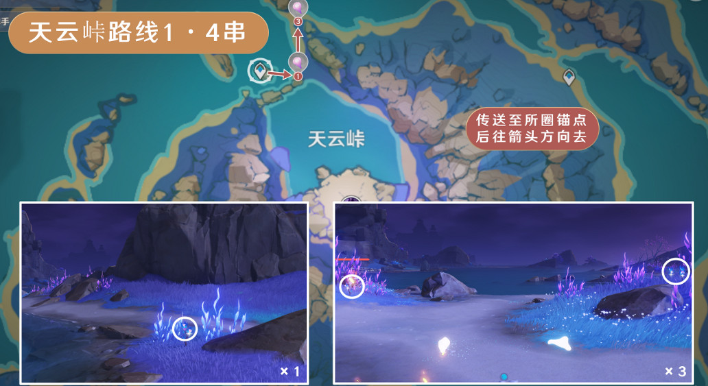 《原神》天雲草實採集路線2024 《原神》天雲草實採集路線2024
