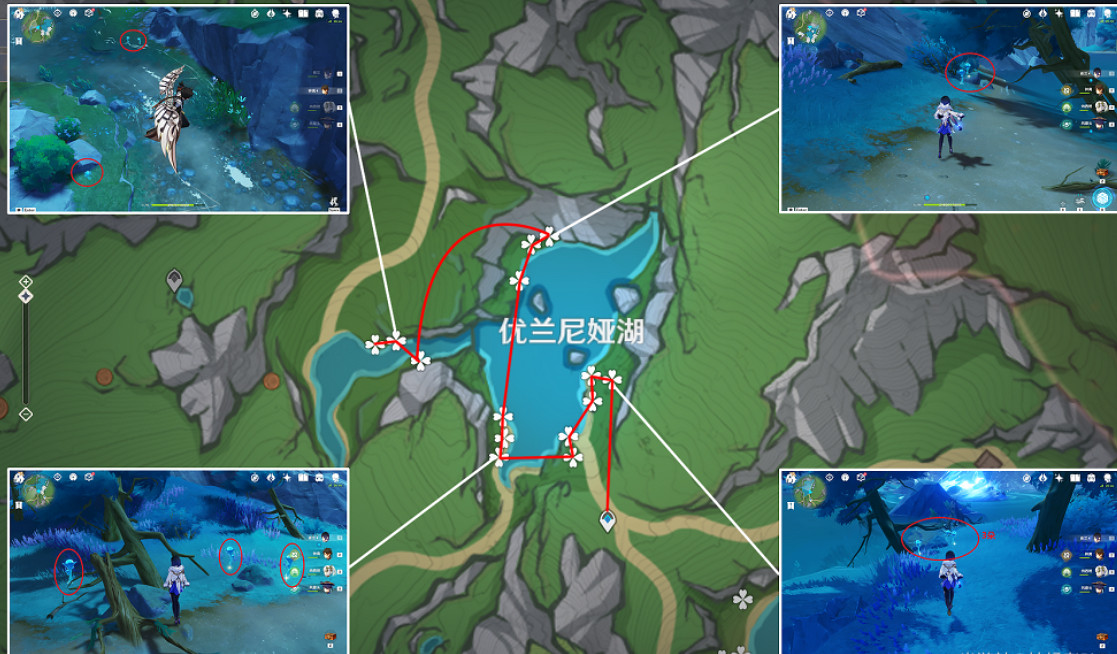 《原神》2024湖光鈴蘭採集路線 《原神》2024湖光鈴蘭採集路線