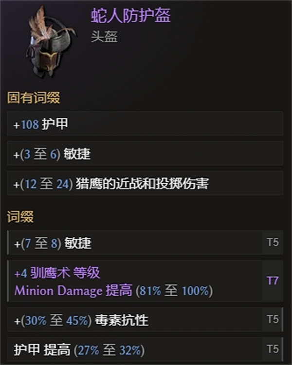 《最後紀元》長矛近戰迅鷹BD攻略