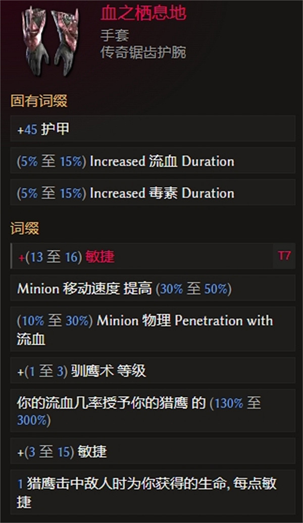 《最後紀元》長矛近戰迅鷹BD攻略