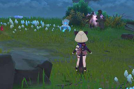 《原神》秋絨鴨位置介紹 《原神》秋絨鴨位置介紹