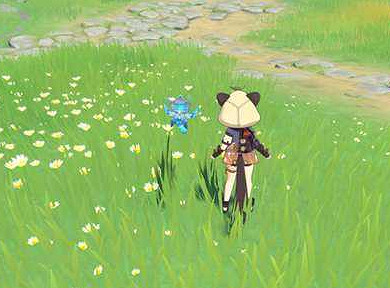 《原神》秋絨鴨位置介紹 《原神》秋絨鴨位置介紹