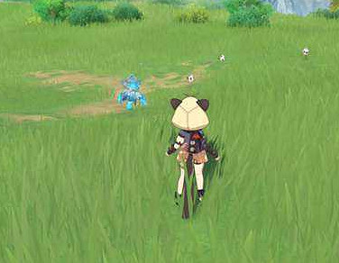 《原神》秋絨鴨位置介紹 《原神》秋絨鴨位置介紹