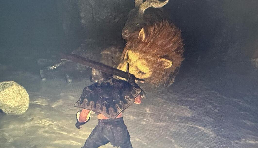 《龍之信條2》瀑布洞窟收集攻略