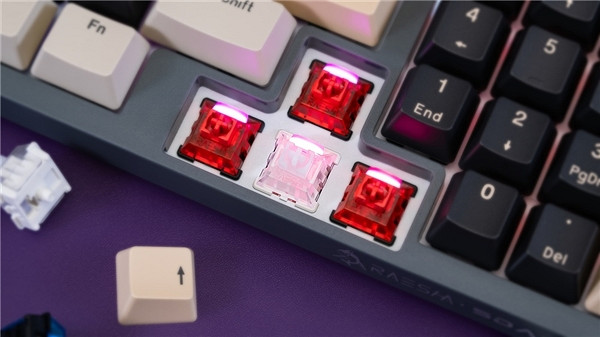 能提升遊戲操作的專業外設 瑞翼鯊磁軸開關 能提升遊戲操作的專業外設 瑞翼鯊磁軸開關