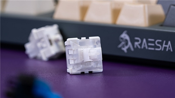 能提升遊戲操作的專業外設 瑞翼鯊磁軸開關 能提升遊戲操作的專業外設 瑞翼鯊磁軸開關