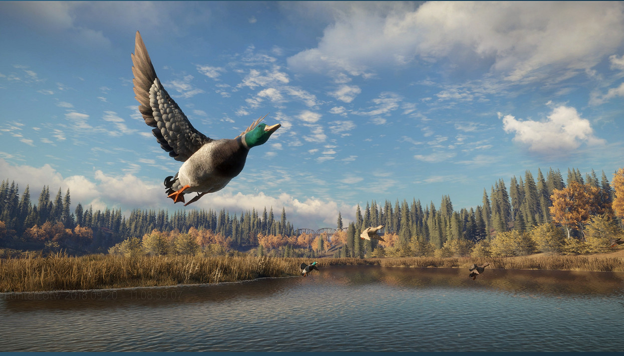 本次Steam春季特賣活動中 《獵人:荒野的召喚》正在促銷 本次Steam春季特賣活動中 《獵人:荒野的召喚》正在促銷