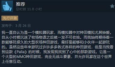 社區模擬休閒生活MMO遊戲《Palia》Steam免費推出 綜合評價“褒貶不一”