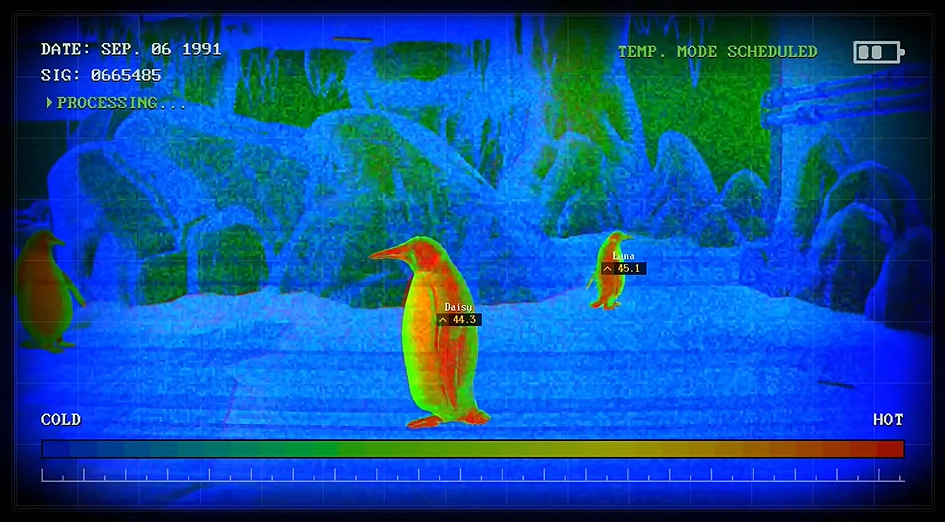 恐怖模擬遊戲《動物精神病》新預告公布:展示遊戲玩法 恐怖模擬遊戲《動物精神病》新預告公布:展示遊戲玩法