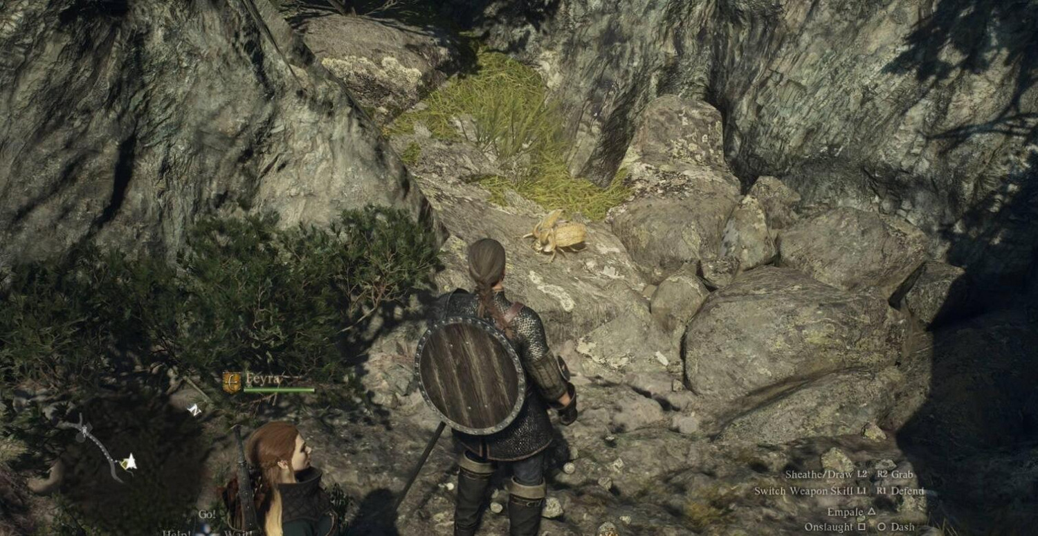 《龍之信條2》國境監視兵團營地金色帝王豔金龜位置分享 《龍之信條2》國境監視兵團營地金色帝王豔金龜位置分享