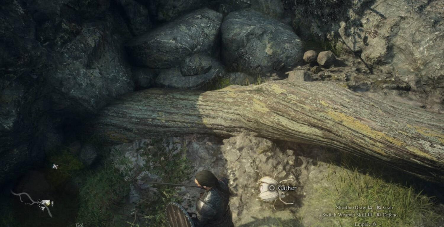 《龍之信條2》國境監視兵團營地金色帝王豔金龜位置分享 《龍之信條2》國境監視兵團營地金色帝王豔金龜位置分享