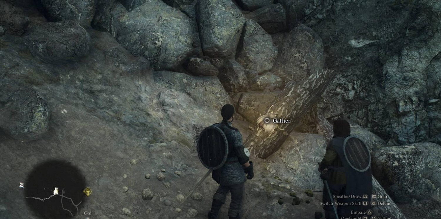 《龍之信條2》國境監視兵團營地金色帝王豔金龜位置分享 《龍之信條2》國境監視兵團營地金色帝王豔金龜位置分享