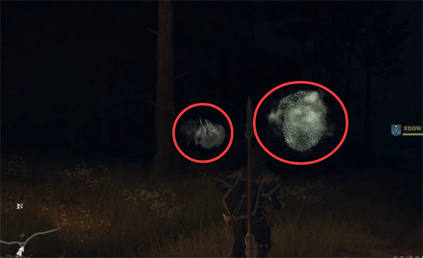 《龍之信條2》垃圾堆的聖女支線攻略 《龍之信條2》垃圾堆的聖女支線攻略