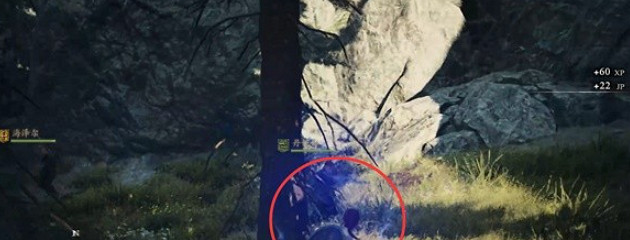 《龍之信條2》屬性狀態介紹 《龍之信條2》屬性狀態介紹