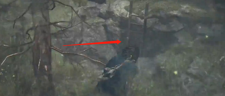 《龍之信條2》魔弓手盜賊大師技能獲取方法 《龍之信條2》魔弓手盜賊大師技能獲取方法