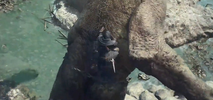 《龍之信條2》全職業圖鑒一覽 《龍之信條2》全職業圖鑒一覽