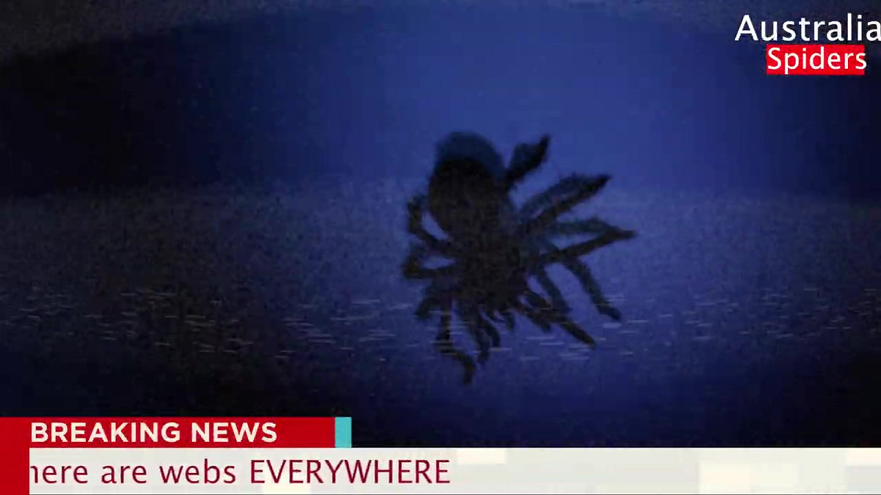 動物園恐怖遊戲《Zoochosis》實機展示 Q3發售