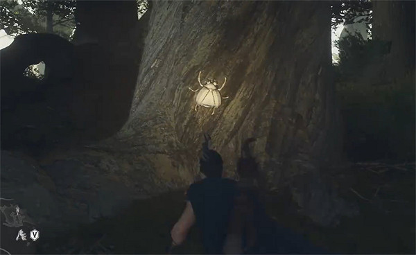 《龍之信條2》全帝王豔金龜獲取位置一覽 《龍之信條2》全帝王豔金龜獲取位置一覽