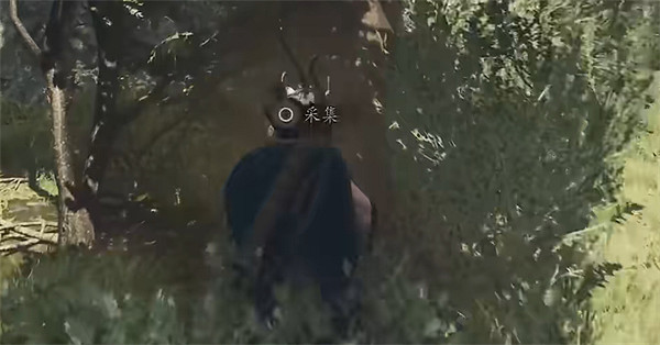 《龍之信條2》全帝王豔金龜獲取位置一覽 《龍之信條2》全帝王豔金龜獲取位置一覽