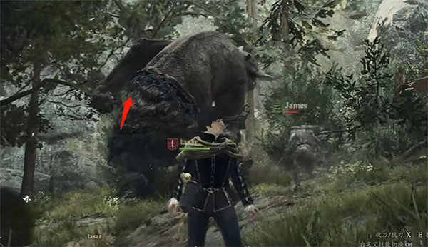 《龍之信條2》貴族府邸少年任務攻略 《龍之信條2》貴族府邸少年任務攻略