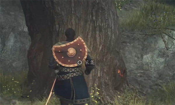 《龍之信條2》全帝王豔金龜獲取位置一覽 《龍之信條2》全帝王豔金龜獲取位置一覽