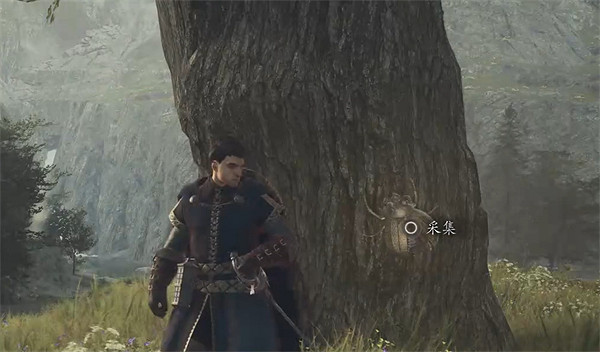 《龍之信條2》全帝王豔金龜獲取位置一覽 《龍之信條2》全帝王豔金龜獲取位置一覽