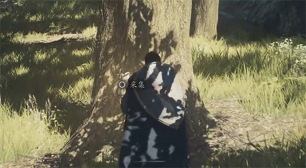 《龍之信條2》全帝王豔金龜獲取位置一覽 《龍之信條2》全帝王豔金龜獲取位置一覽