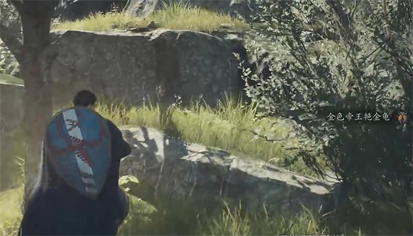 《龍之信條2》全帝王豔金龜獲取位置一覽 《龍之信條2》全帝王豔金龜獲取位置一覽