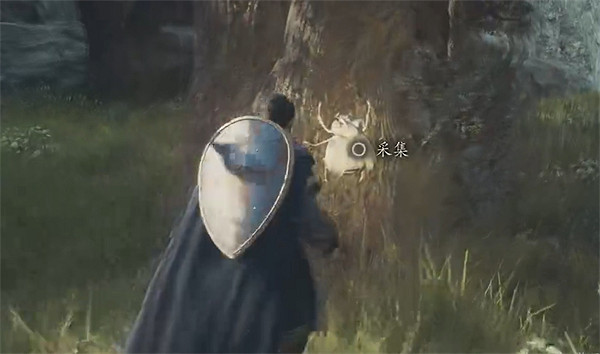 《龍之信條2》全帝王豔金龜獲取位置一覽 《龍之信條2》全帝王豔金龜獲取位置一覽