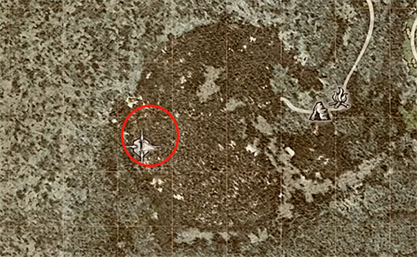 《龍之信條2》初期琥珀焰龍固定位置分享