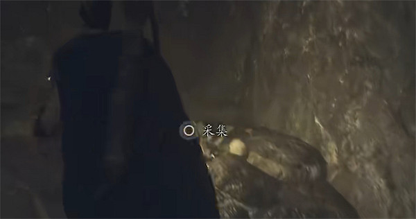 《龍之信條2》全帝王豔金龜獲取位置一覽 《龍之信條2》全帝王豔金龜獲取位置一覽