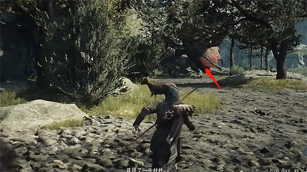 《龍之信條2》初期琥珀焰龍固定位置分享