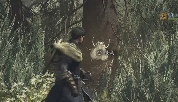 《龍之信條2》全帝王豔金龜獲取位置一覽 《龍之信條2》全帝王豔金龜獲取位置一覽