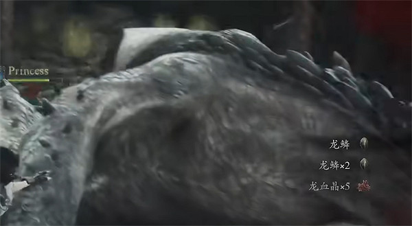 《龍之信條2》龍討伐次數介紹