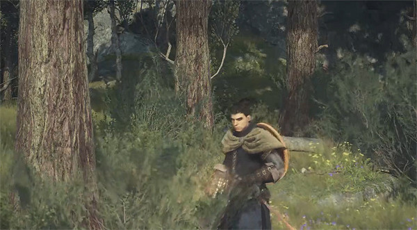 《龍之信條2》全帝王豔金龜獲取位置一覽 《龍之信條2》全帝王豔金龜獲取位置一覽