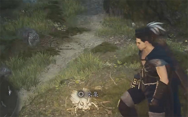 《龍之信條2》全帝王豔金龜獲取位置一覽 《龍之信條2》全帝王豔金龜獲取位置一覽