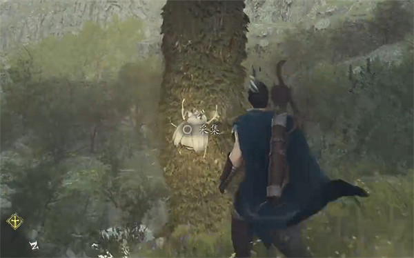 《龍之信條2》全帝王豔金龜獲取位置一覽 《龍之信條2》全帝王豔金龜獲取位置一覽