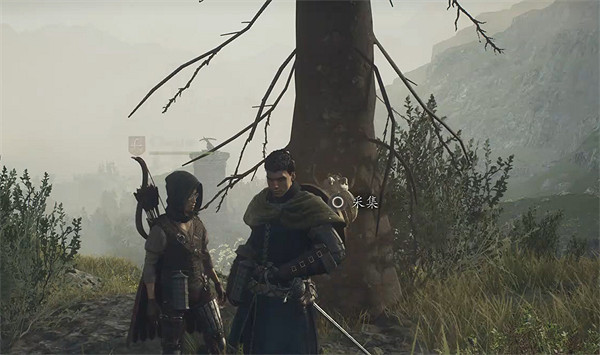 《龍之信條2》全帝王豔金龜獲取位置一覽 《龍之信條2》全帝王豔金龜獲取位置一覽