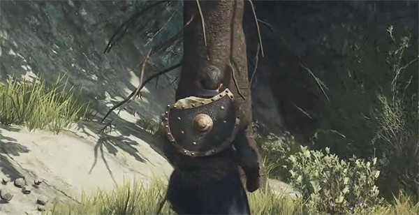 《龍之信條2》全帝王豔金龜獲取位置一覽 《龍之信條2》全帝王豔金龜獲取位置一覽