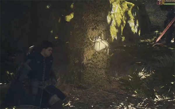 《龍之信條2》全帝王豔金龜獲取位置一覽 《龍之信條2》全帝王豔金龜獲取位置一覽