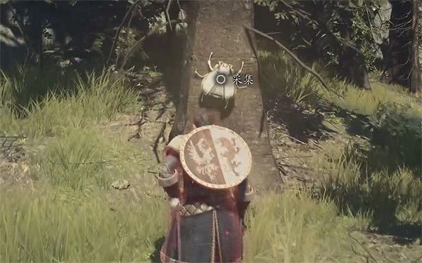 《龍之信條2》全帝王豔金龜獲取位置一覽 《龍之信條2》全帝王豔金龜獲取位置一覽